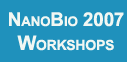 NanoBio2007 Workshops